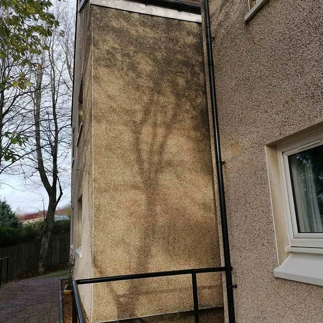 wall cleaning